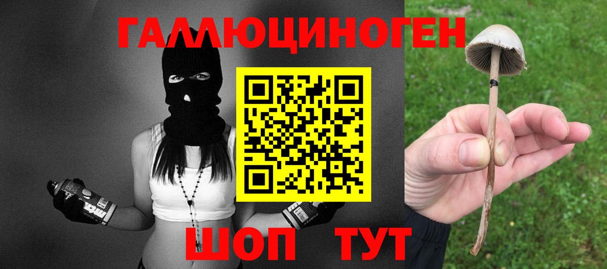 Галлюциногенные грибы ЛСД  Вход с VPN  Новоалександровск  Галлюциногенные грибы Psilocybine cubensis 